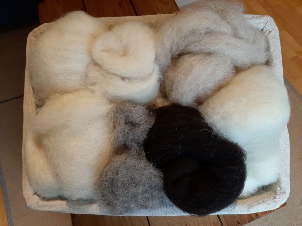 Schafwolle kardiert verschiedene Rassen 7x100g